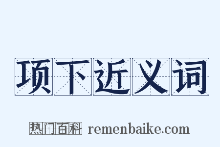 项下近义词是什么意思的图片